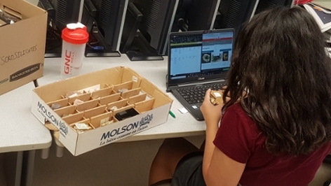 Work study student sorting minerals for cataloging.